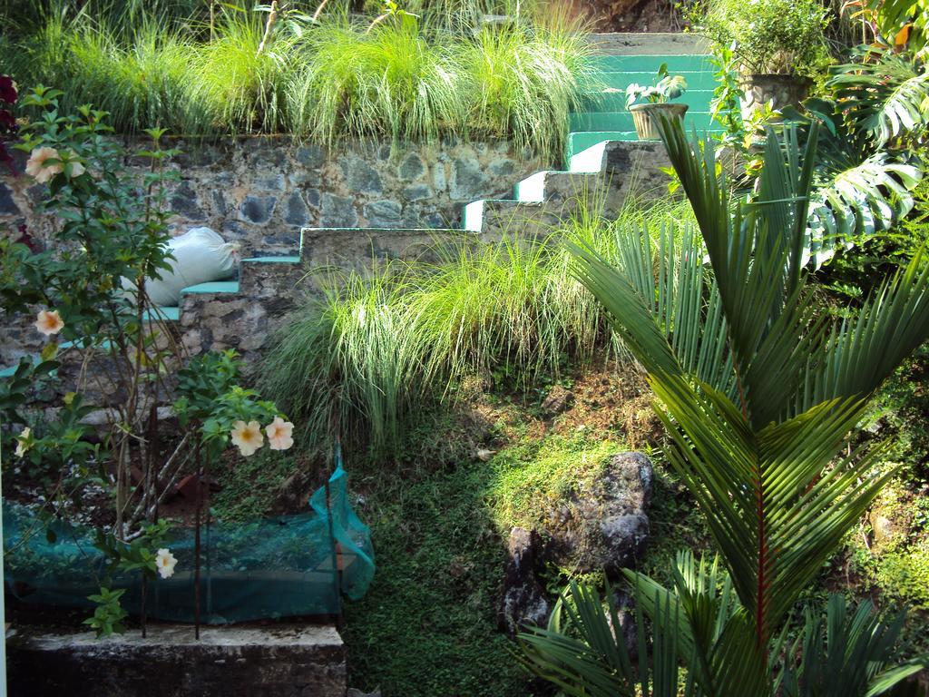 קנדי Araliya Home Stay מראה חיצוני תמונה