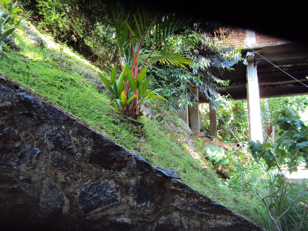 קנדי Araliya Home Stay מראה חיצוני תמונה