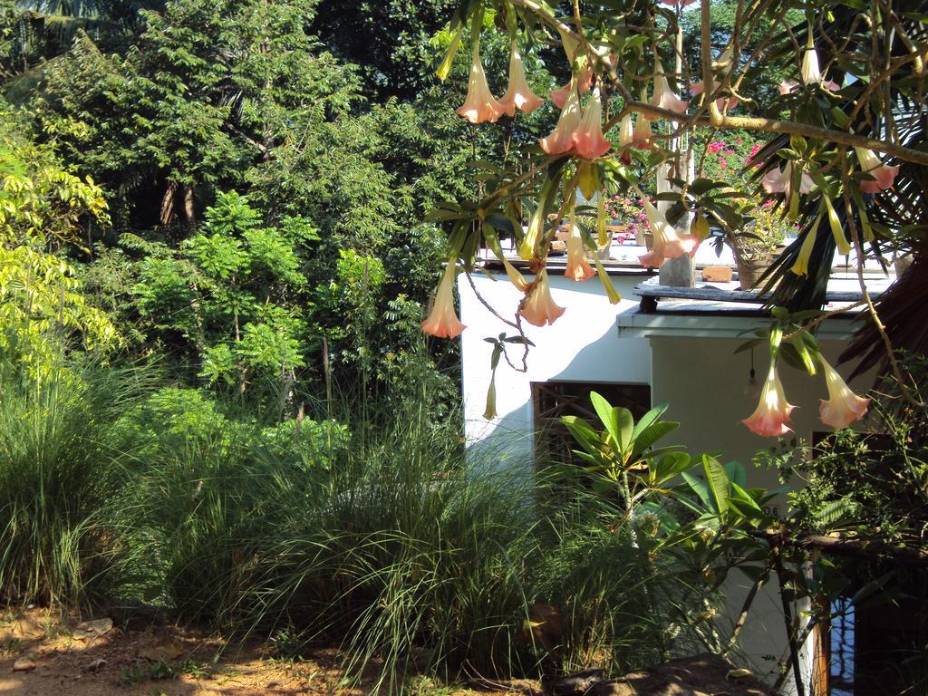 קנדי Araliya Home Stay מראה חיצוני תמונה