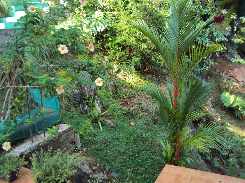 קנדי Araliya Home Stay מראה חיצוני תמונה