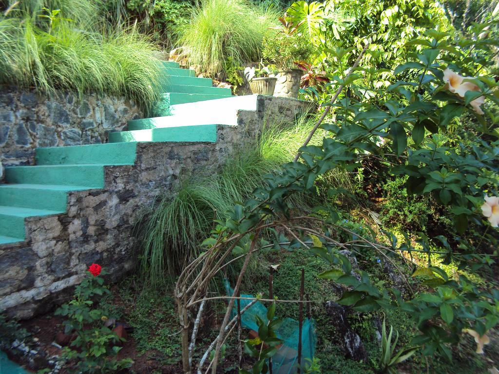 קנדי Araliya Home Stay מראה חיצוני תמונה