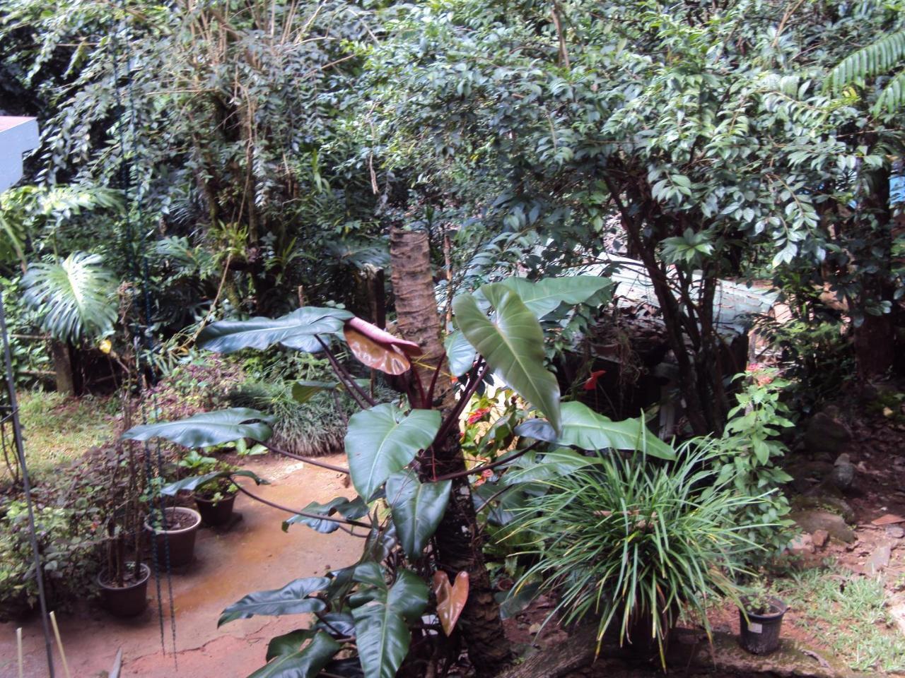 קנדי Araliya Home Stay מראה חיצוני תמונה